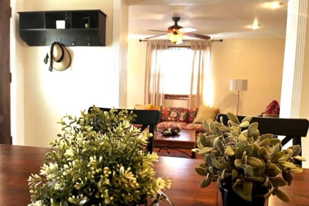 House Close To Downtown, Airport, Raymond James Stadium, And Many More Places Tampa Zewnętrze zdjęcie