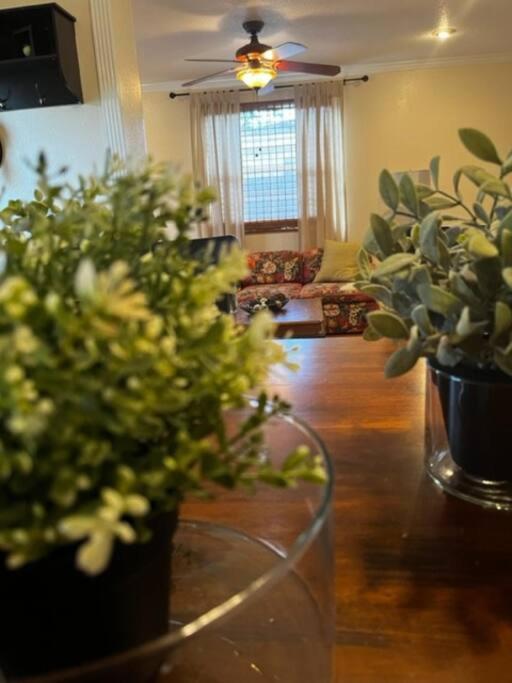 House Close To Downtown, Airport, Raymond James Stadium, And Many More Places Tampa Zewnętrze zdjęcie